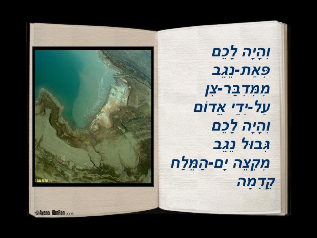 תחרות נחיתות במצדה – עמוד 1