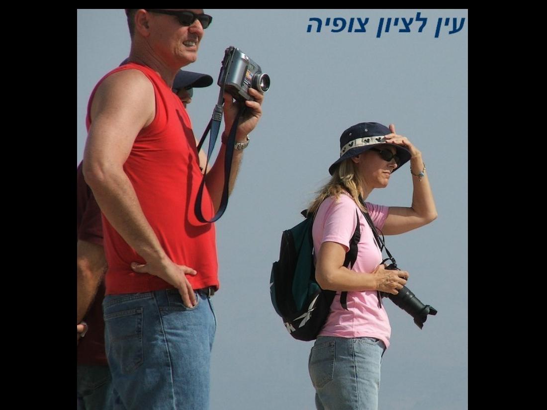 תחרות נחיתות במצדה – עמוד 19