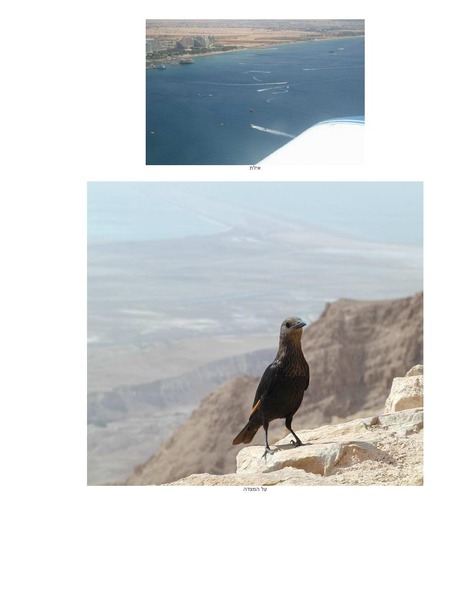 תמונות השבוע – עמוד 9