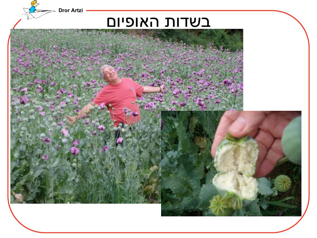 מצגת על ההכנות לראלי לטורקיה – עמוד 44