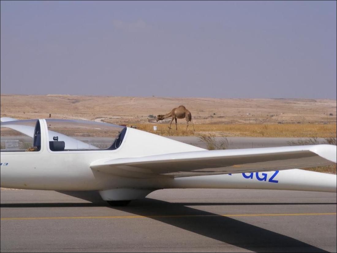 מצגת תמונות מתחרות ניווט לזכרו של יובל גונן – עמוד 13