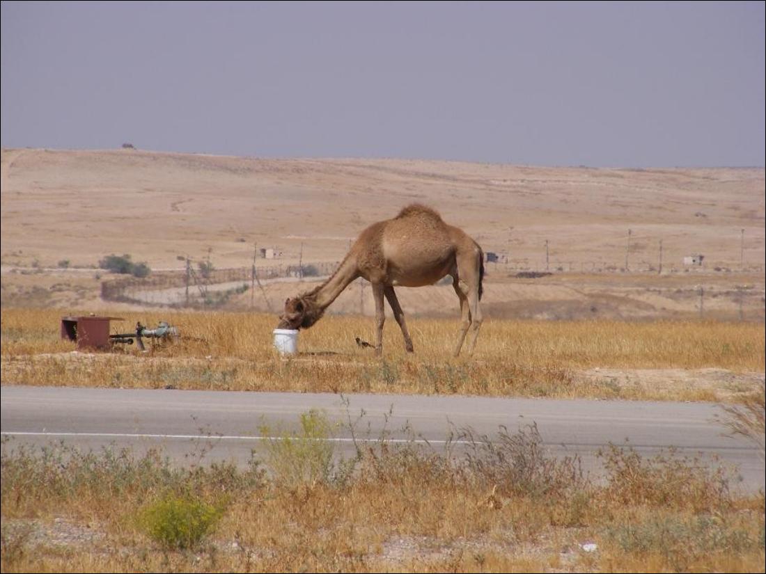 מצגת תמונות מתחרות ניווט לזכרו של יובל גונן – עמוד 15