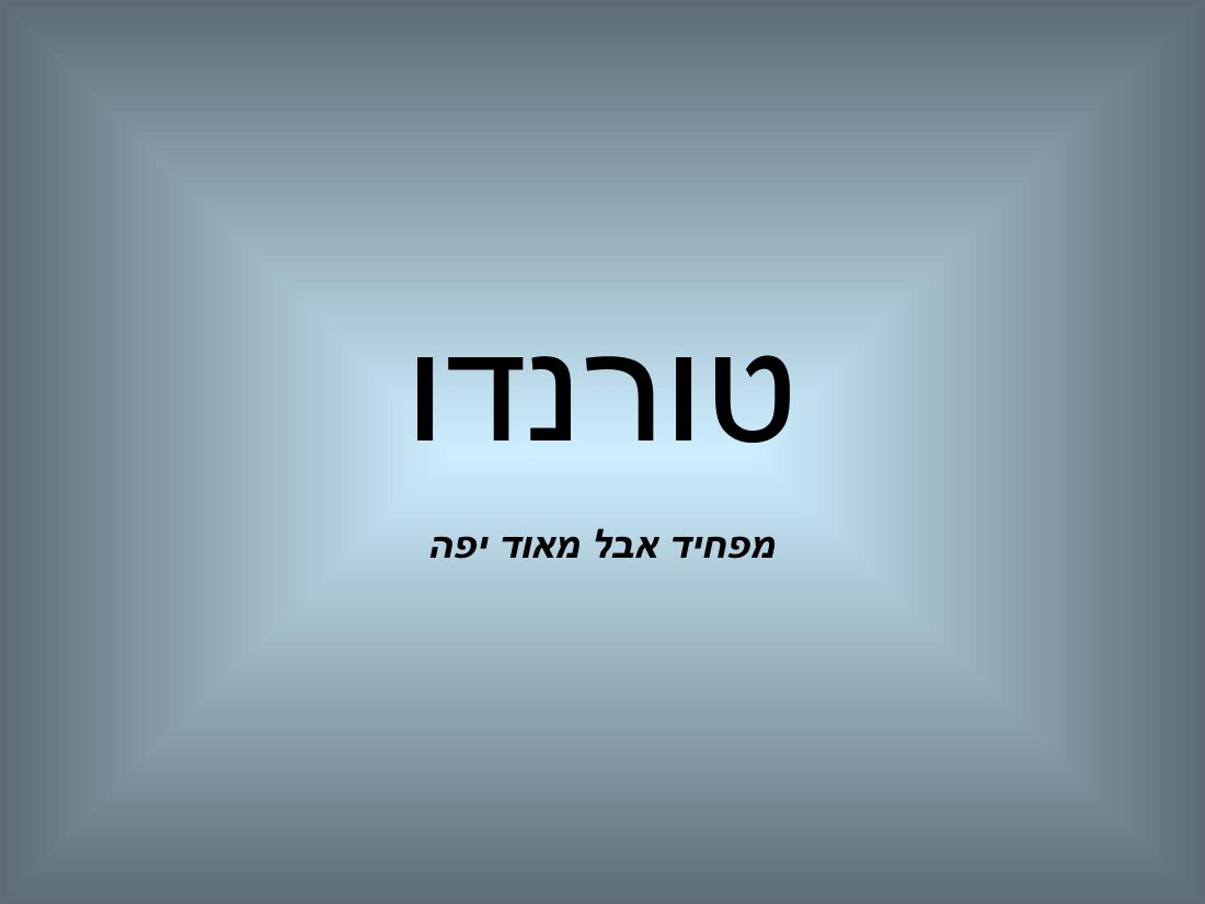 תמונות של סערת ציקלון – עמוד 1