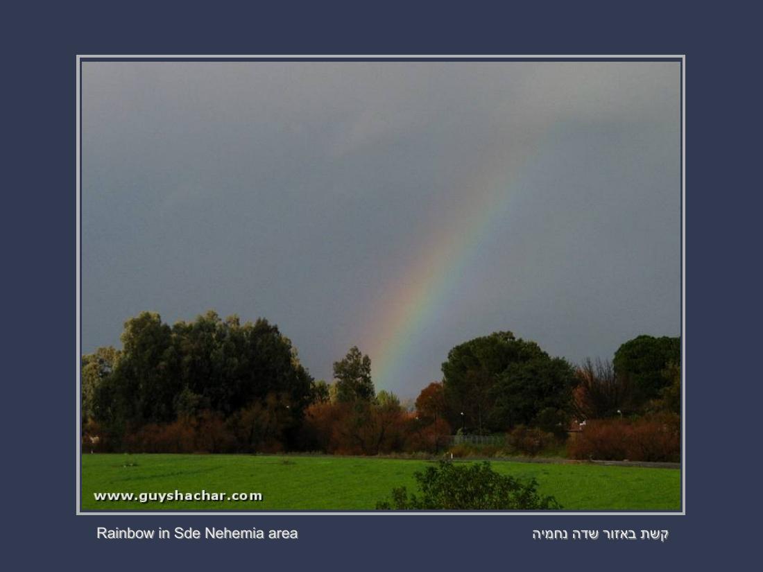 תמונות חורף בישראל – עמוד 4
