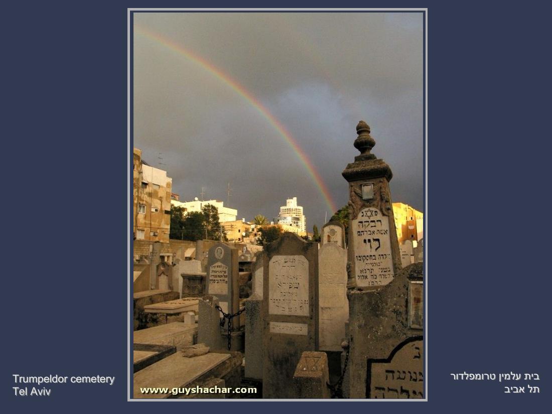 תמונות חורף בישראל – עמוד 16