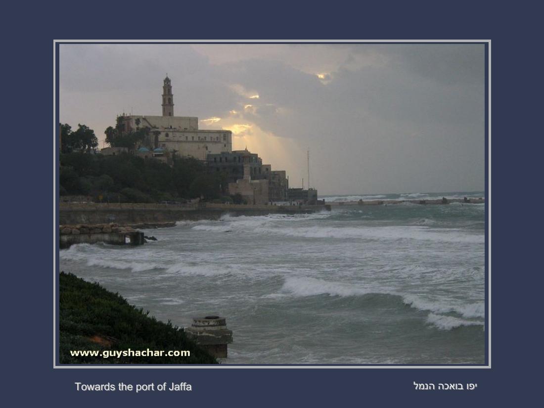 תמונות חורף בישראל – עמוד 18