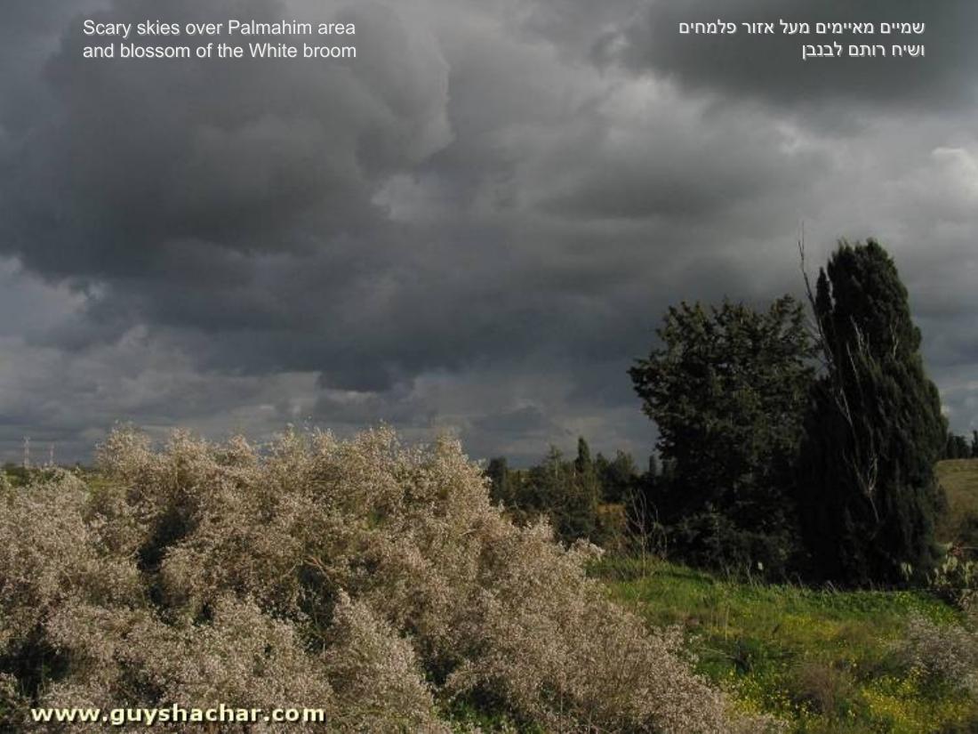 תמונות חורף בישראל – עמוד 21