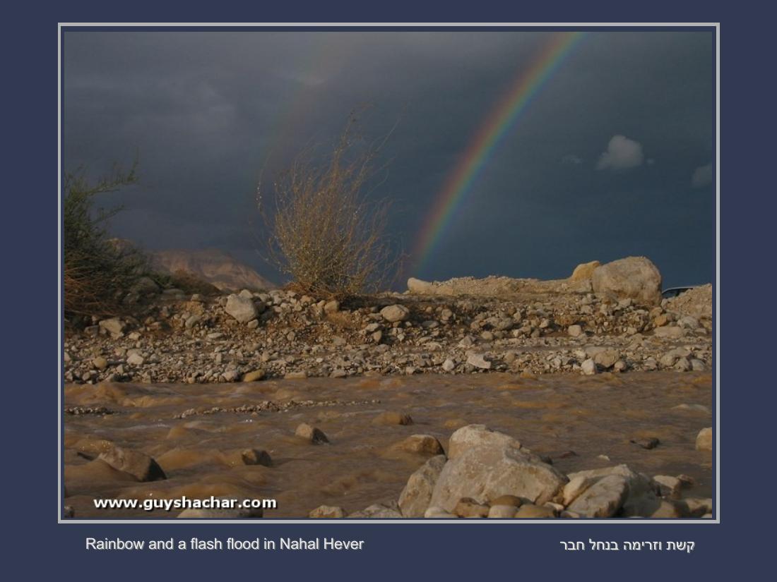 תמונות חורף בישראל – עמוד 25