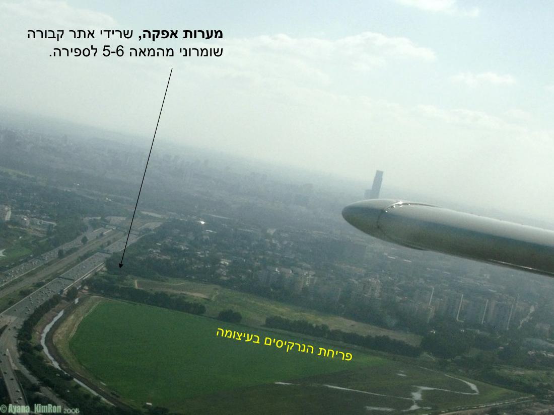 המטס לקציעות – עמוד 22