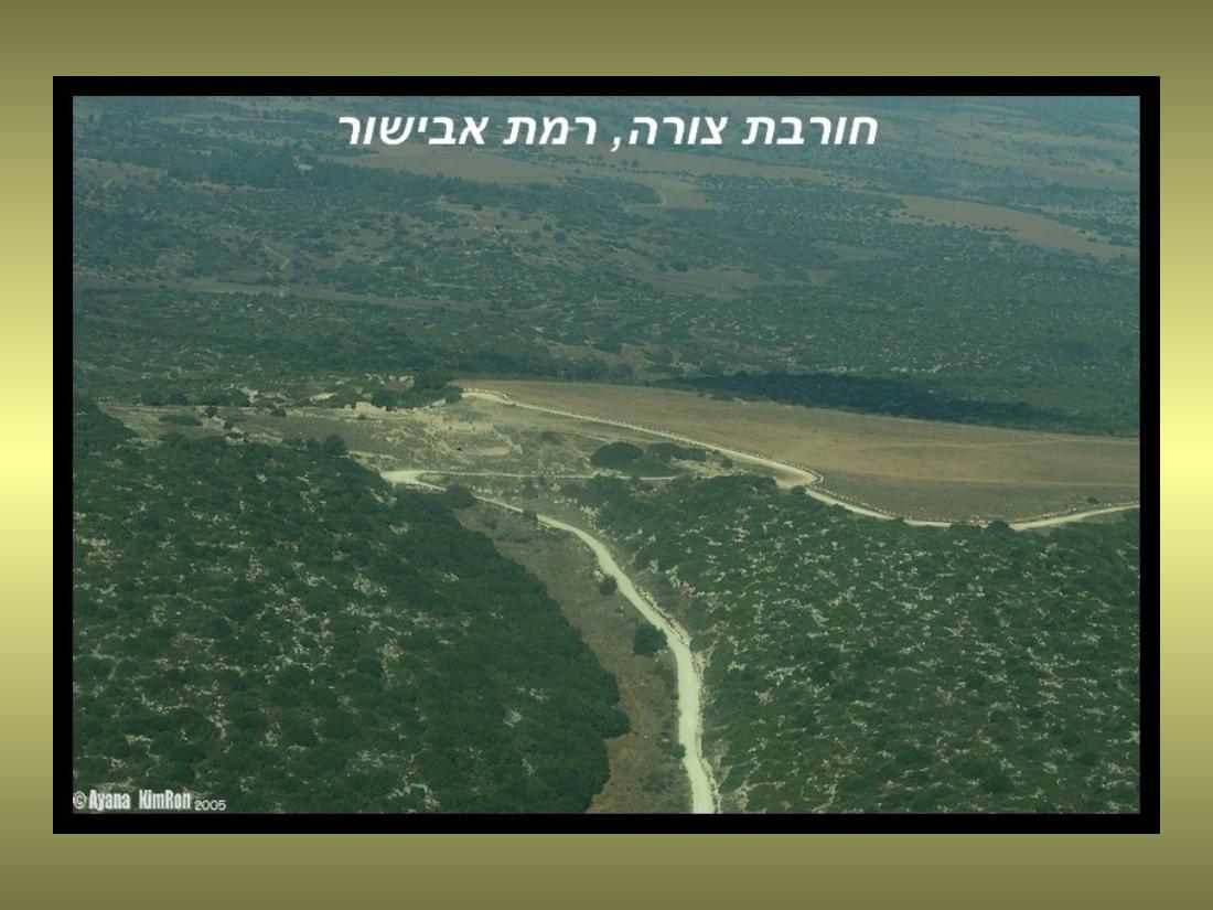 עיינה טסה למצדה – עמוד 2