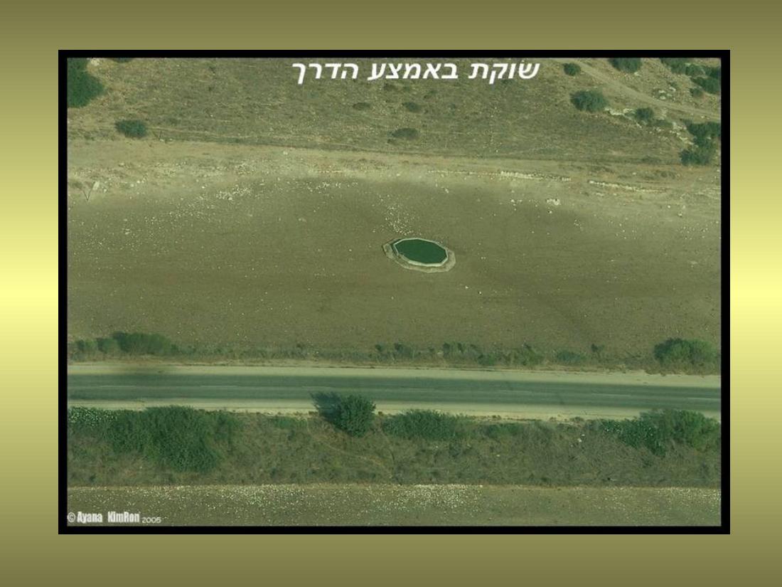 עיינה טסה למצדה – עמוד 3