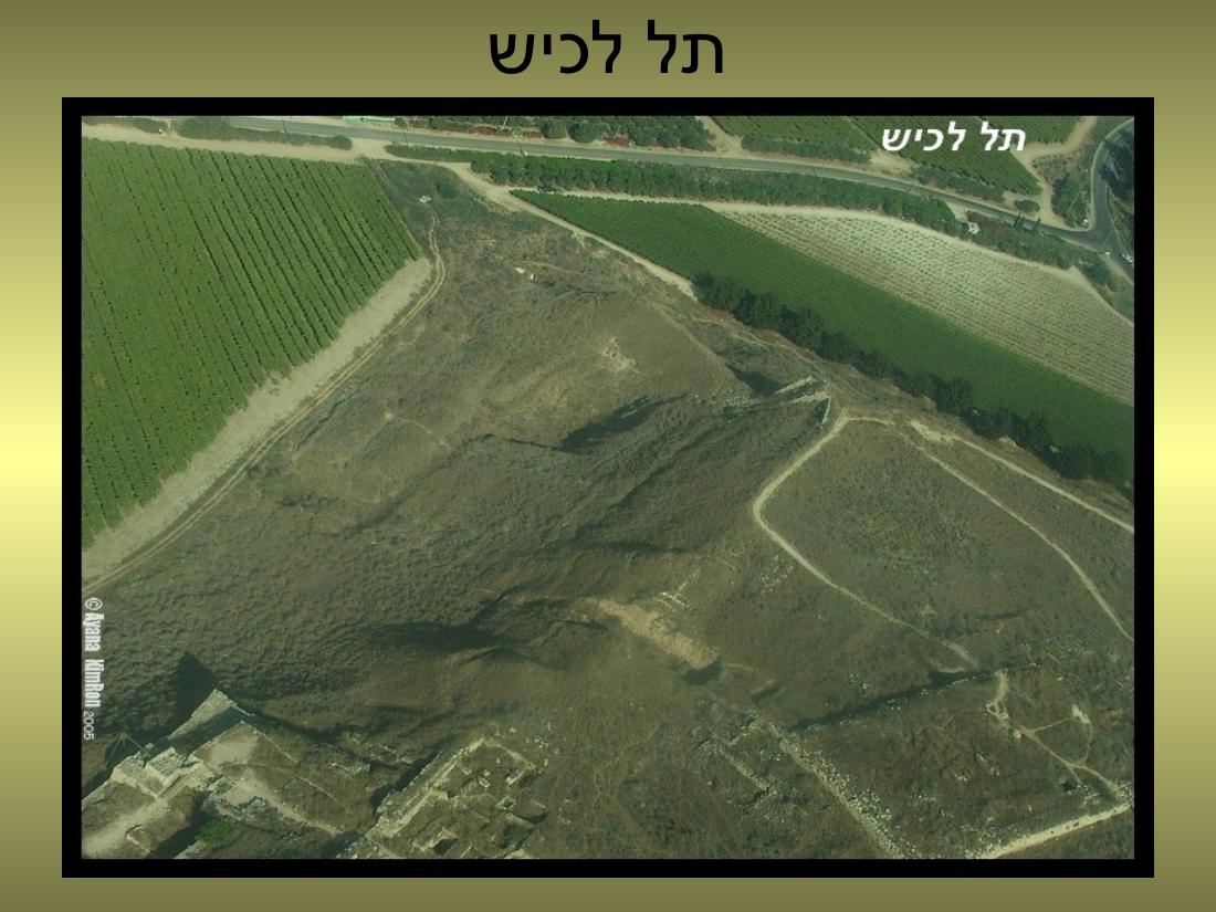 עיינה טסה למצדה – עמוד 5