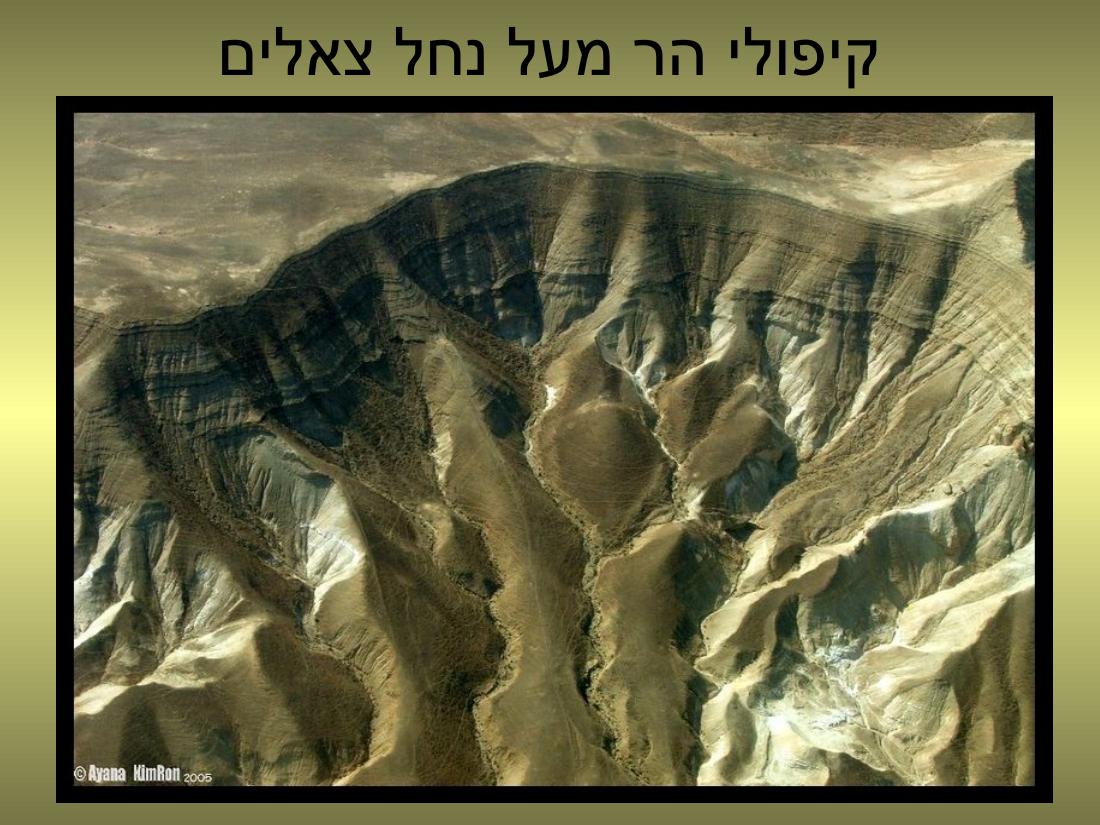 עיינה טסה למצדה – עמוד 7