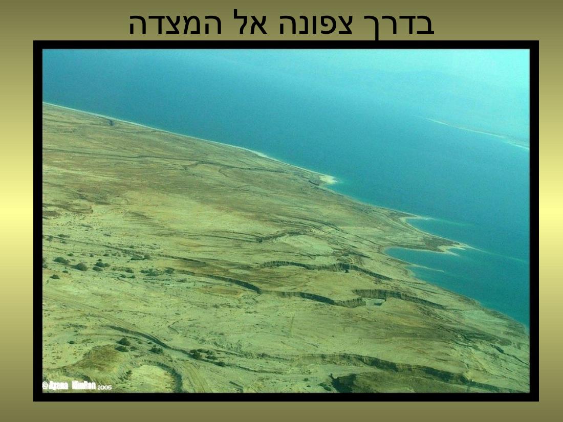 עיינה טסה למצדה – עמוד 8