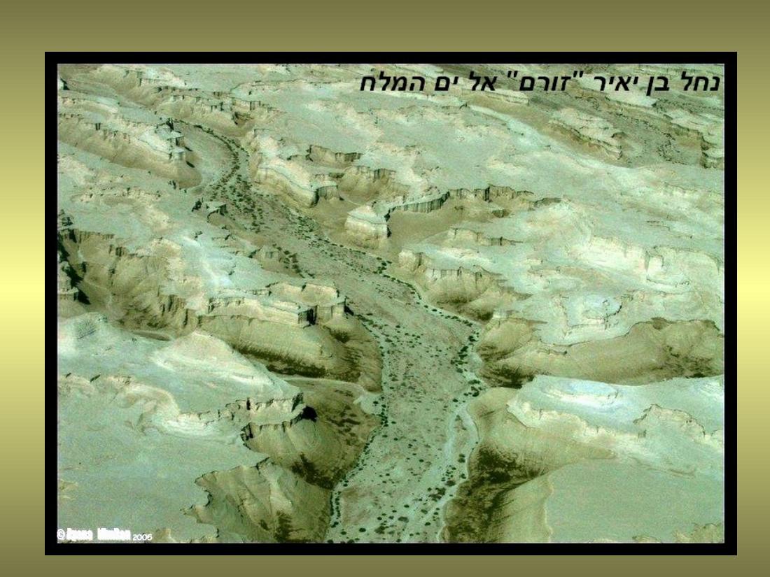 עיינה טסה למצדה – עמוד 9