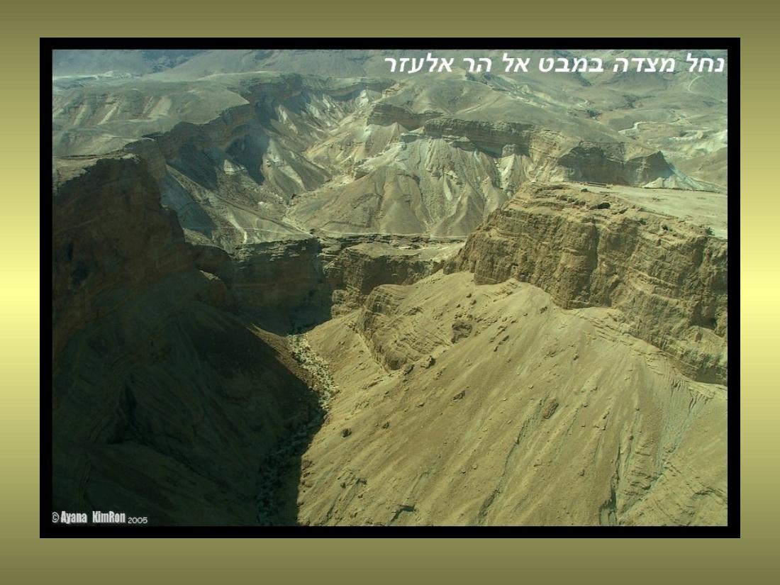 עיינה טסה למצדה – עמוד 10