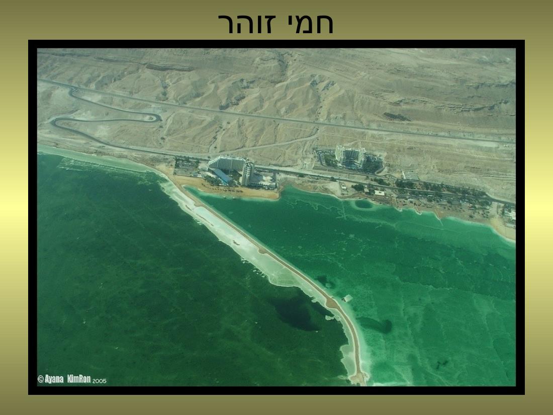 עיינה טסה למצדה – עמוד 11