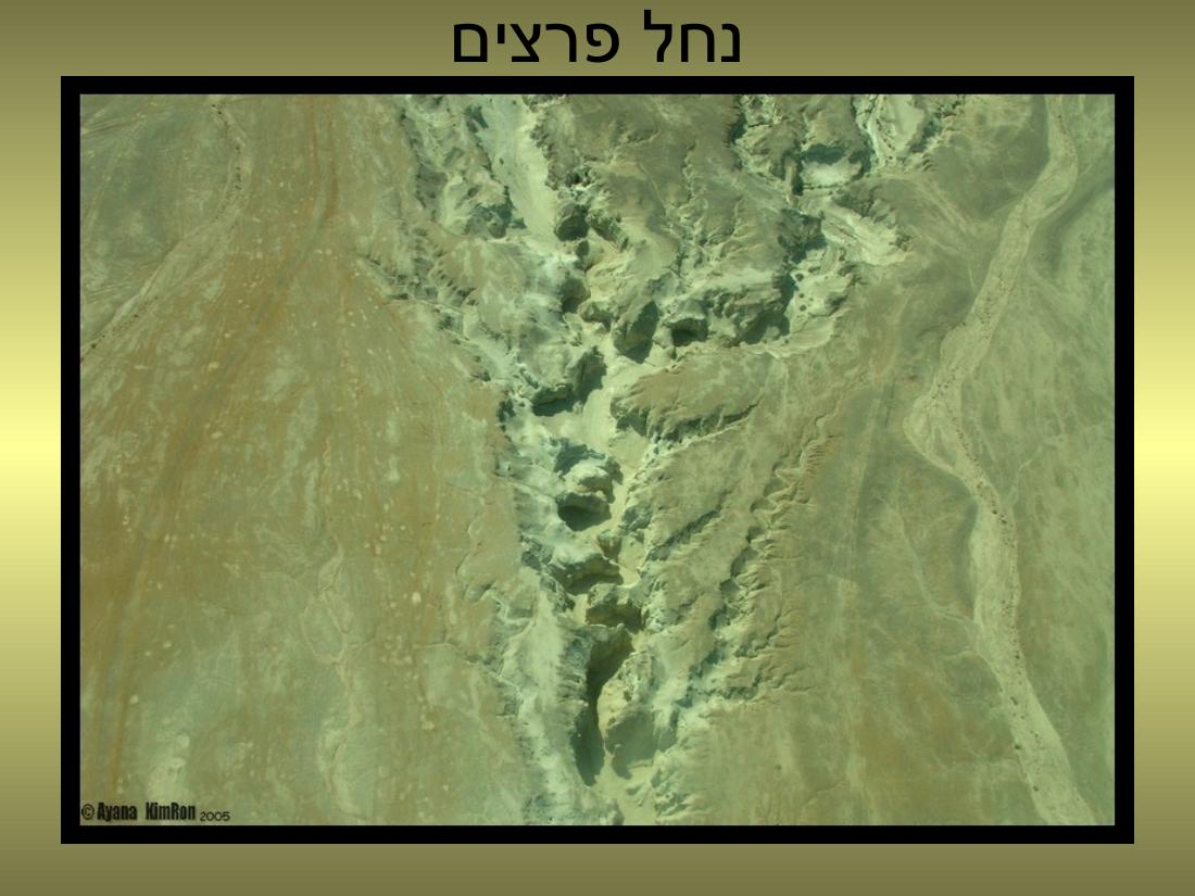 עיינה טסה למצדה – עמוד 12