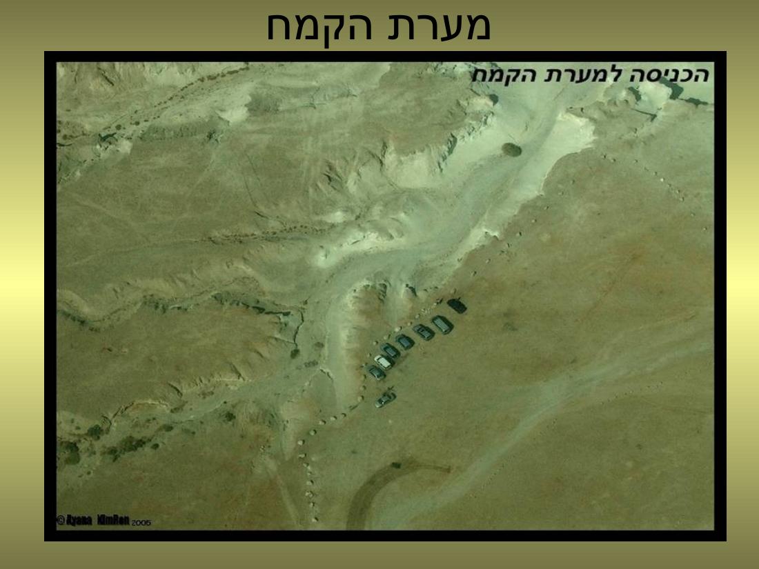 עיינה טסה למצדה – עמוד 13