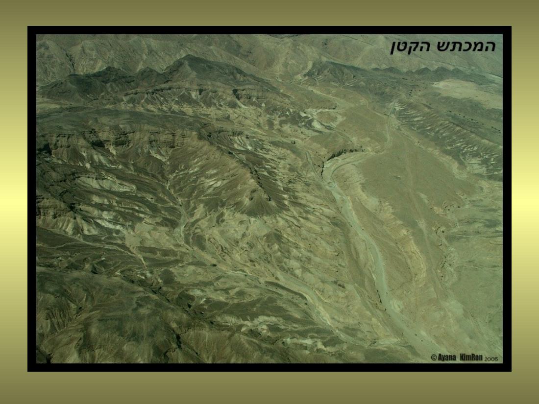 עיינה טסה למצדה – עמוד 14