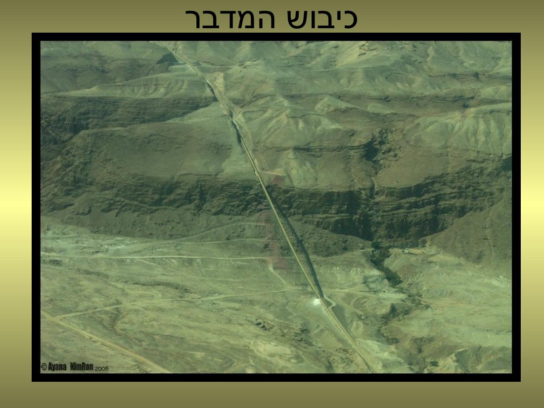 עיינה טסה למצדה – עמוד 15