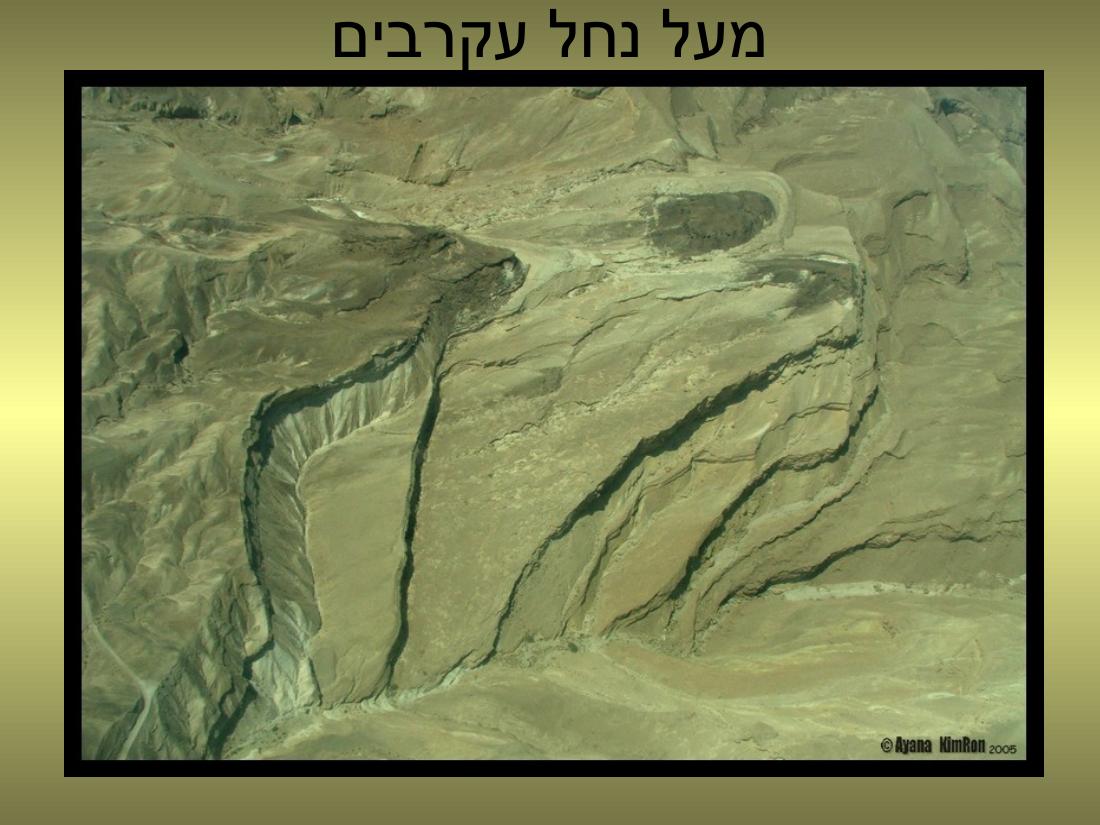 עיינה טסה למצדה – עמוד 16