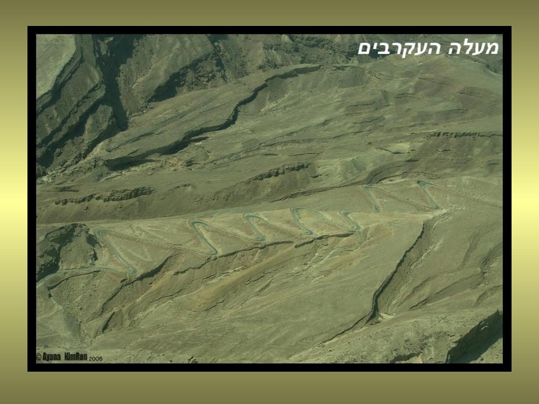 עיינה טסה למצדה – עמוד 17