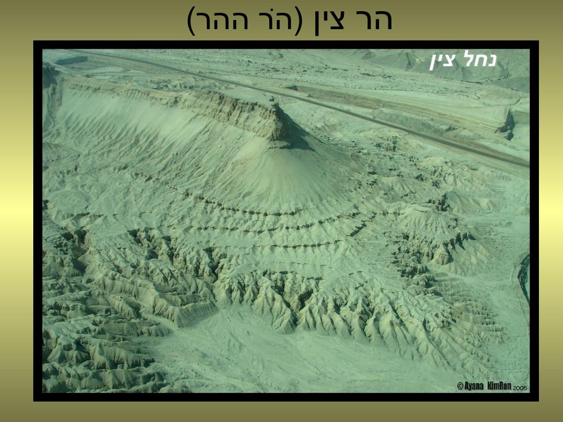 עיינה טסה למצדה – עמוד 19