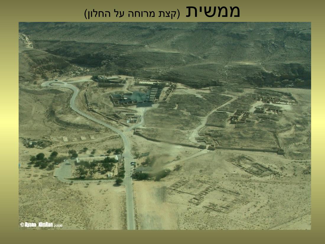 עיינה טסה למצדה – עמוד 20