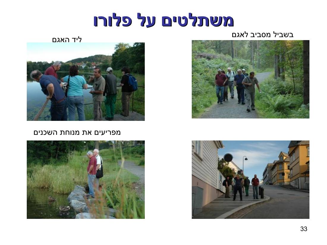מטס בנורבגיה – עמוד 33