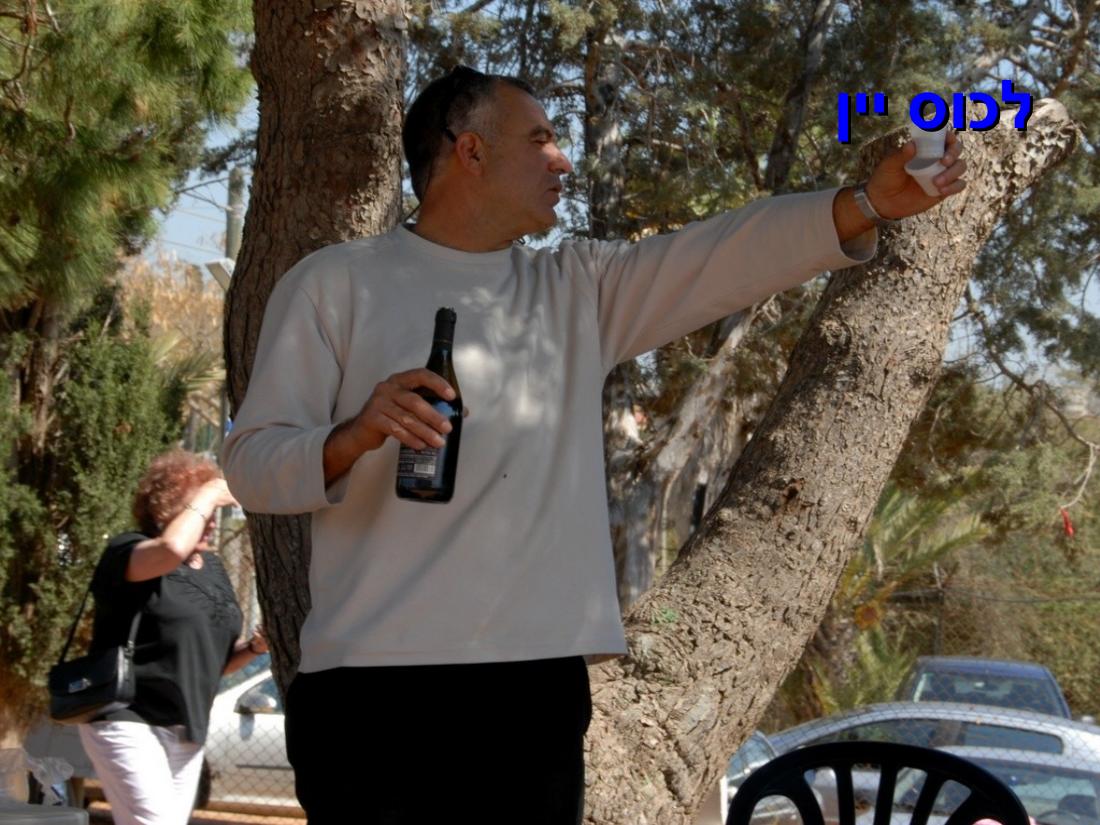 pic2 – עמוד 3