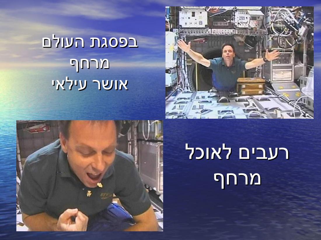 מצגת לזכרו של אל"מ אילן רמון – עמוד 16