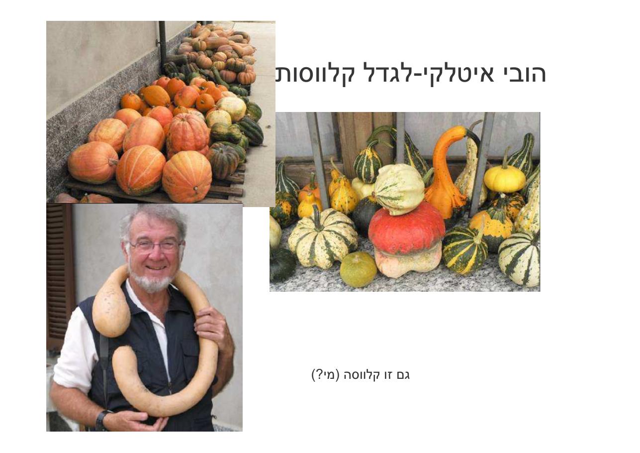 לספרד וחזרה בדאון ממונע – עמוד 67