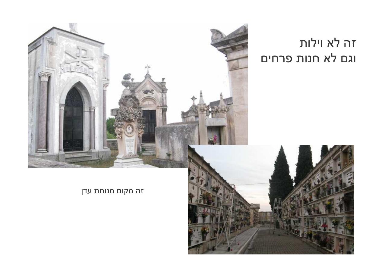 לספרד וחזרה בדאון ממונע – עמוד 86
