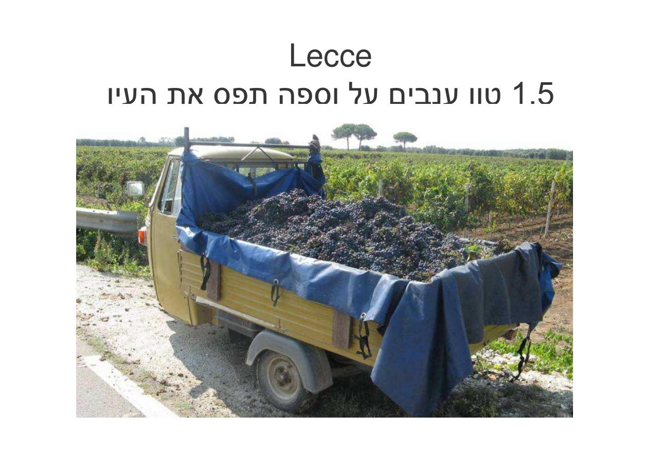 לספרד וחזרה בדאון ממונע – עמוד 87