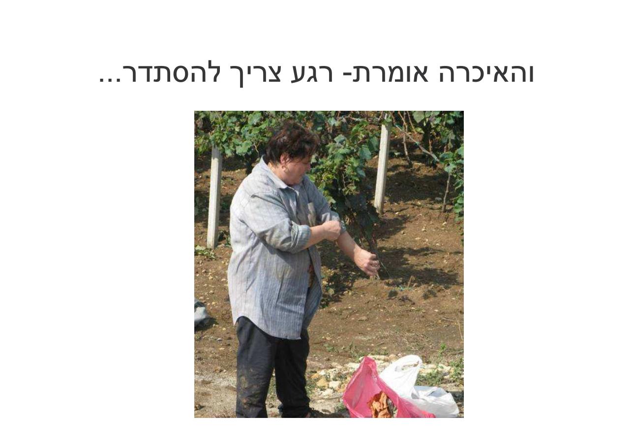 לספרד וחזרה בדאון ממונע – עמוד 89