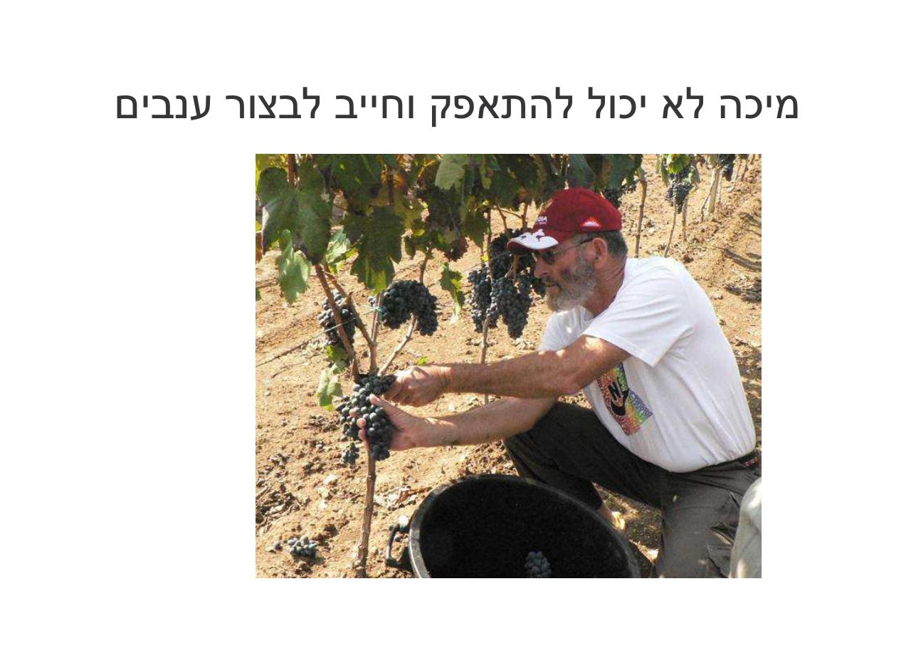 לספרד וחזרה בדאון ממונע – עמוד 90