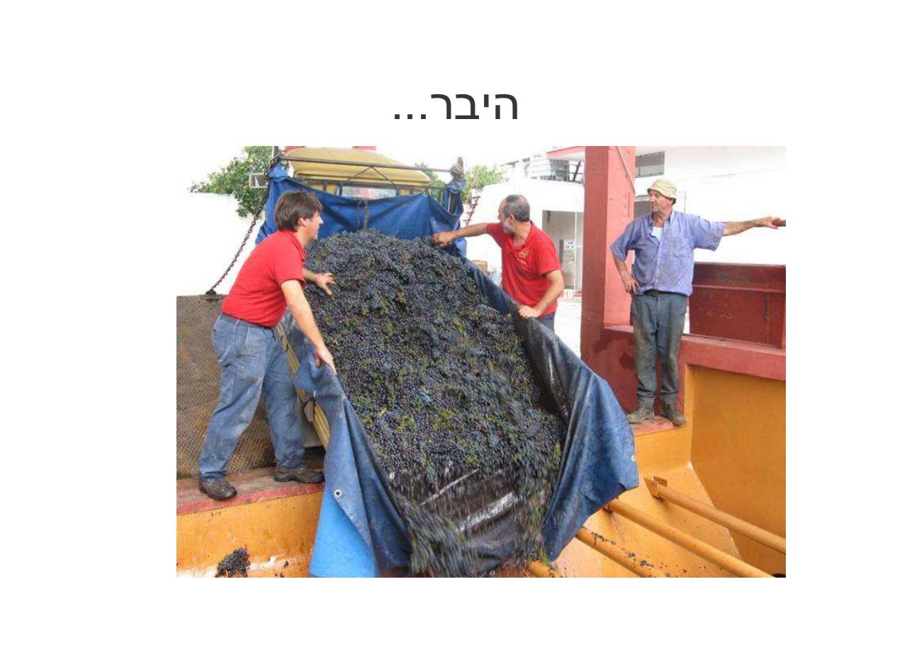 לספרד וחזרה בדאון ממונע – עמוד 94