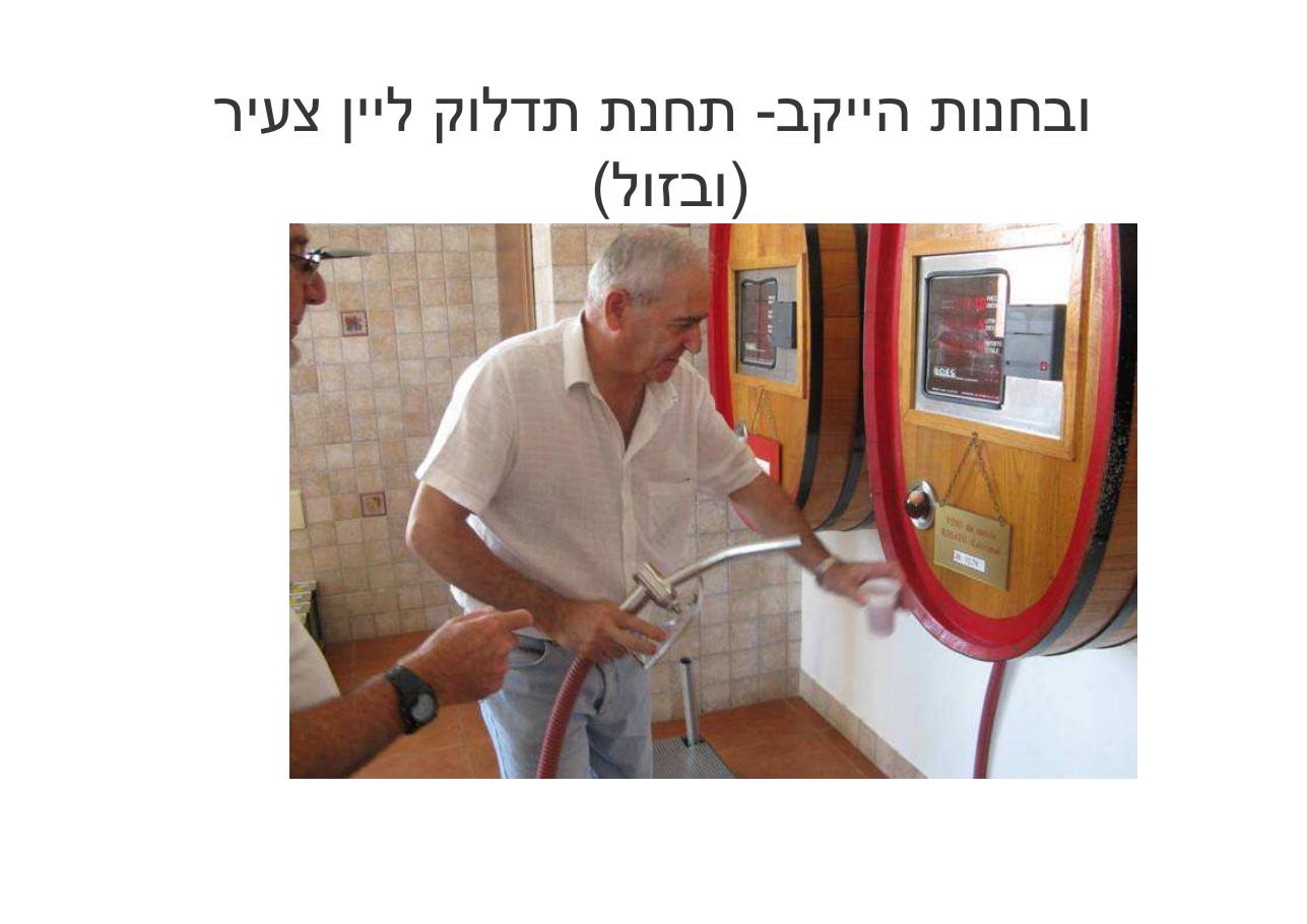 לספרד וחזרה בדאון ממונע – עמוד 95