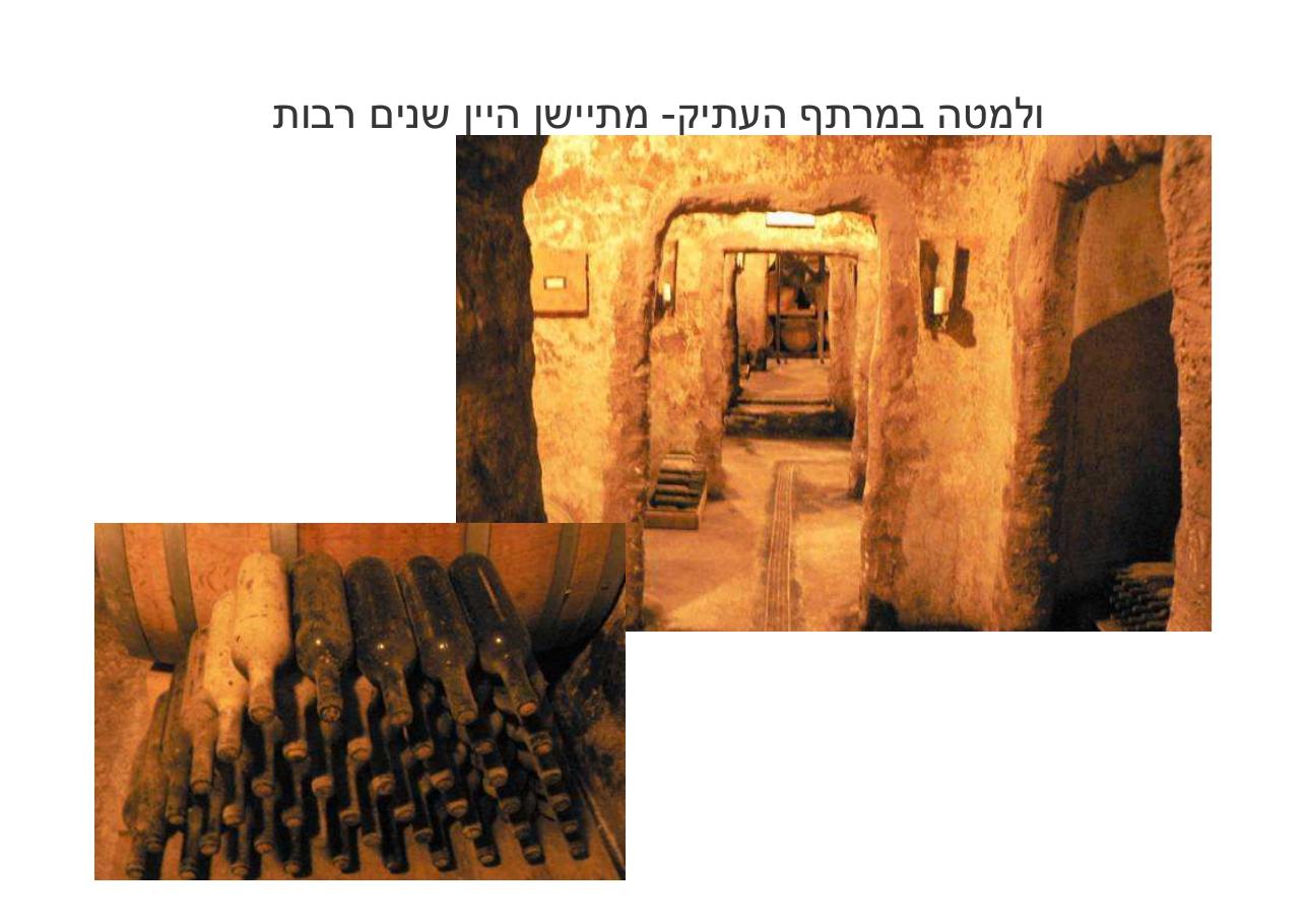 לספרד וחזרה בדאון ממונע – עמוד 96