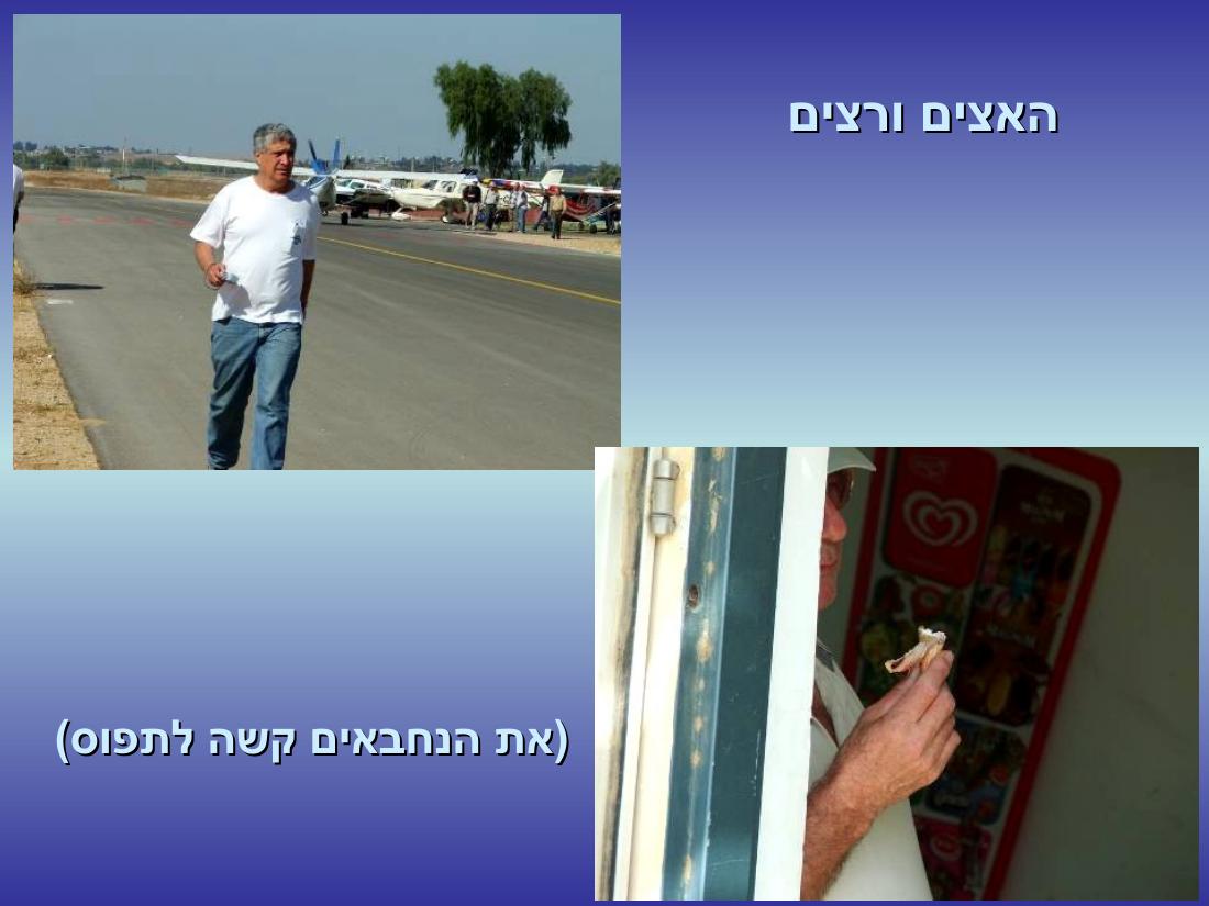 שדה תימן – עמוד 10