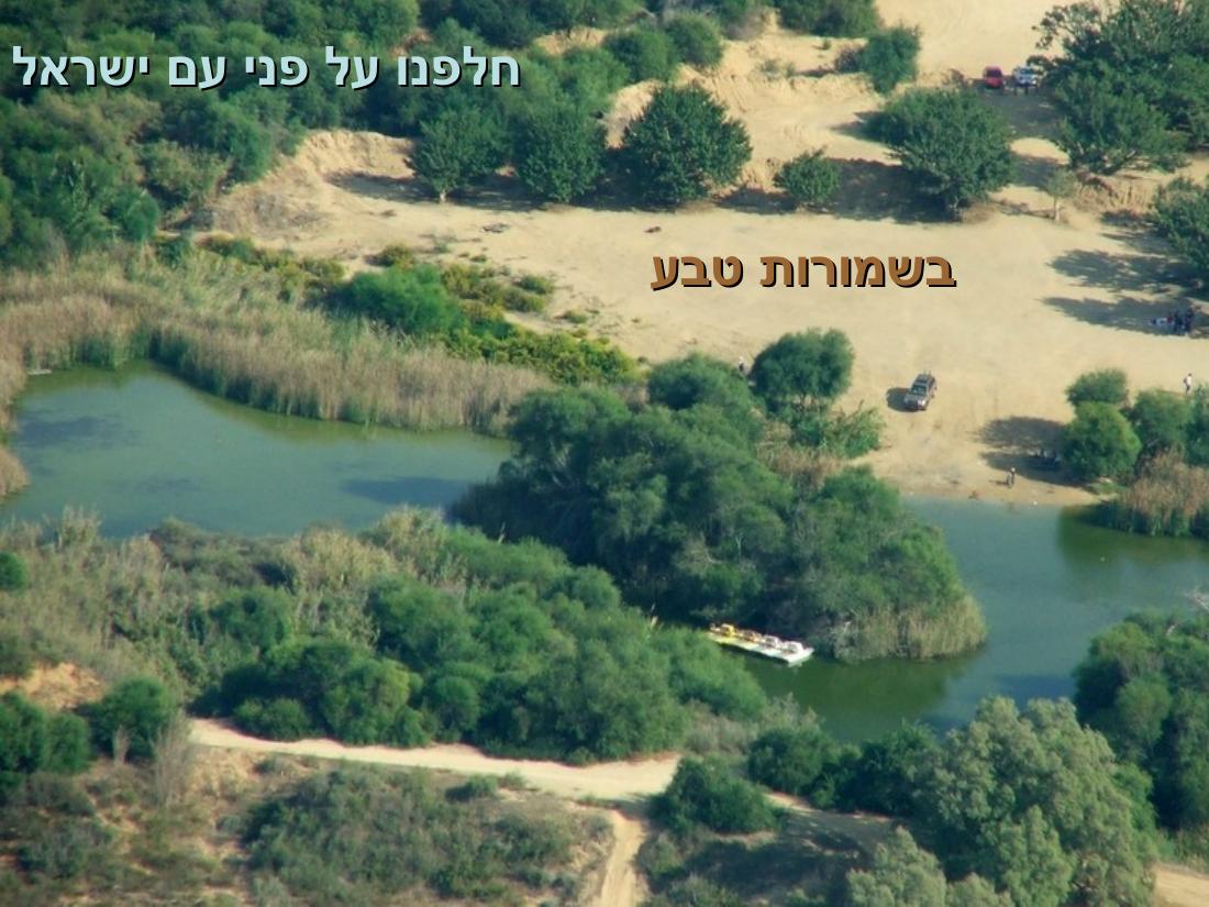 שדה תימן – עמוד 22
