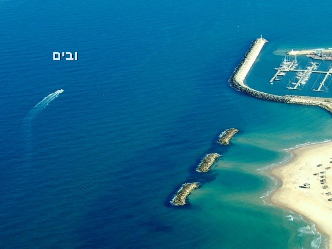 שדה תימן – עמוד 24
