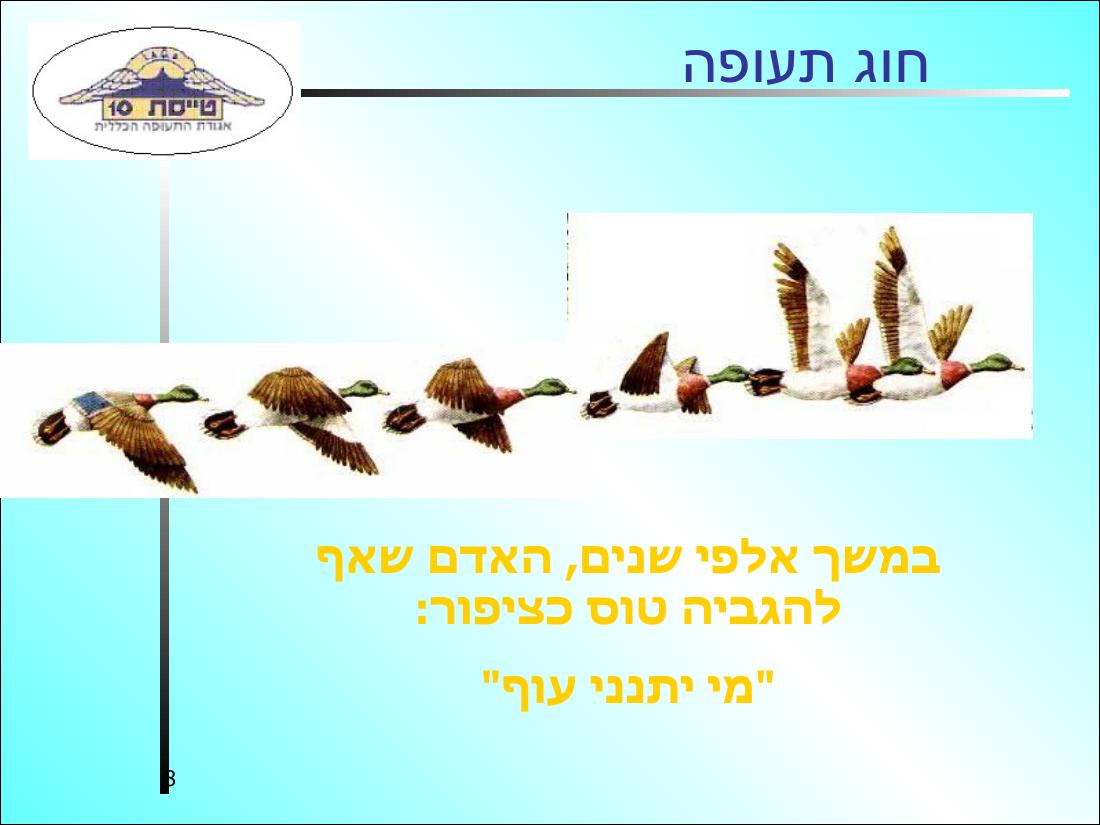 History3 – עמוד 8