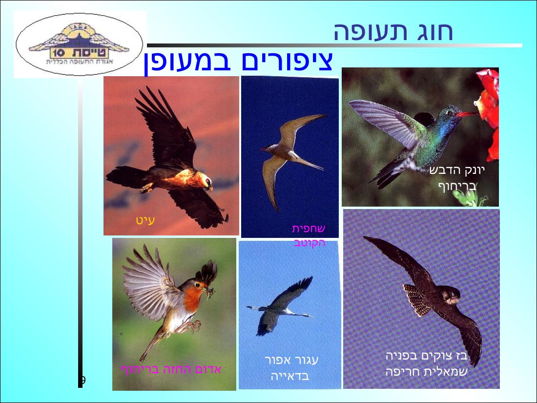 History3 – עמוד 9