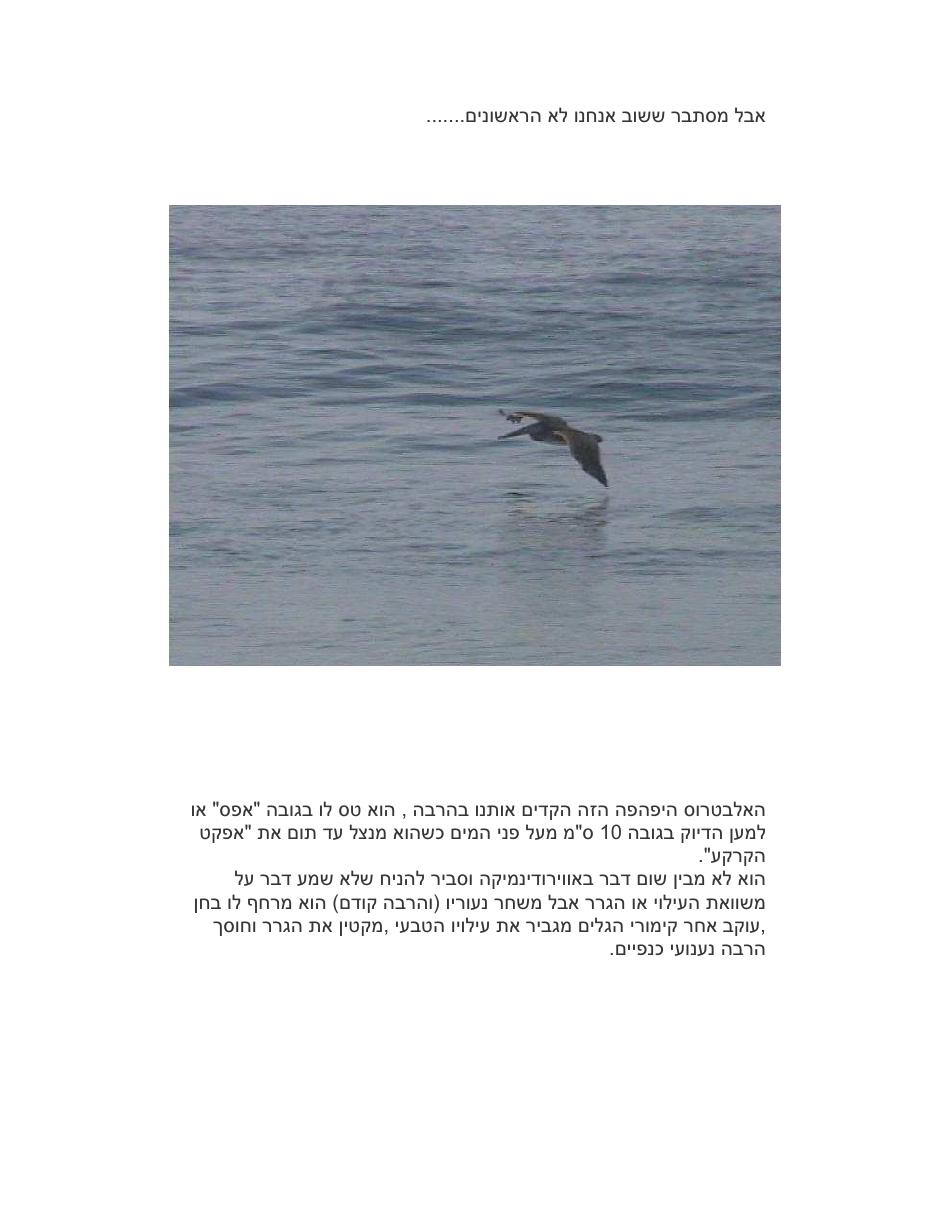 אפקט קרקע – עמוד 2