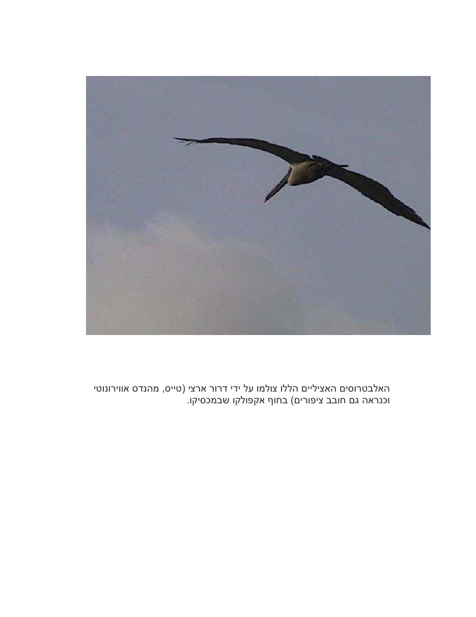 אפקט קרקע – עמוד 12