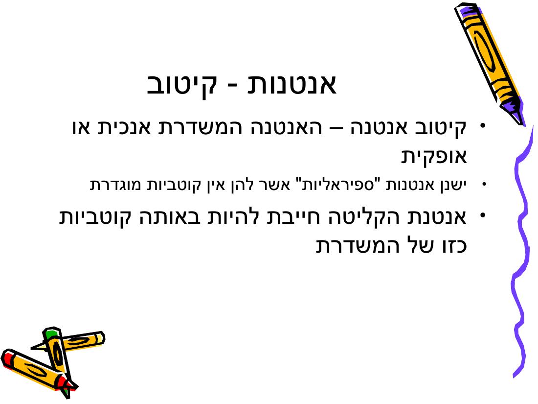 Rnav – עמוד 20