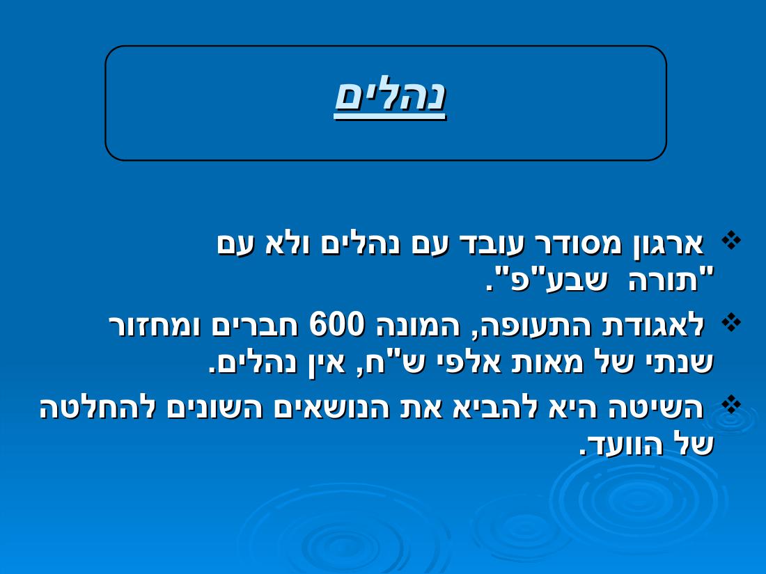 מצגת ועדת ביקורת – עמוד 2