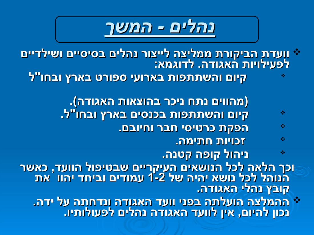 מצגת ועדת ביקורת – עמוד 3